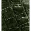 Steelium Pure Leather Travel Trolley Bag