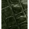 Steelium Pure Leather Travel Trolley Bag